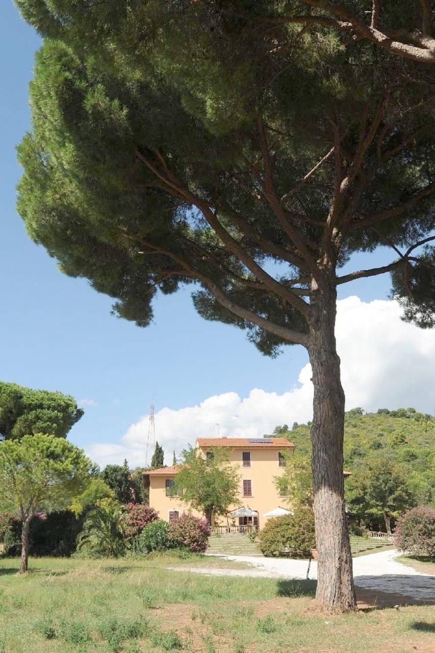 Double Room with Private Bathroom in Campiglia Marittima, Etruskische kust