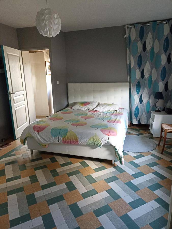 Four-Bedroom House in Saulnay, Région de Le Blanc