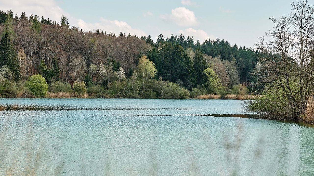 Ferienhaus für 4 Personen (60 m²) in Bad Saulgau in Bad Saulgau, Landkreis Sigmaringen