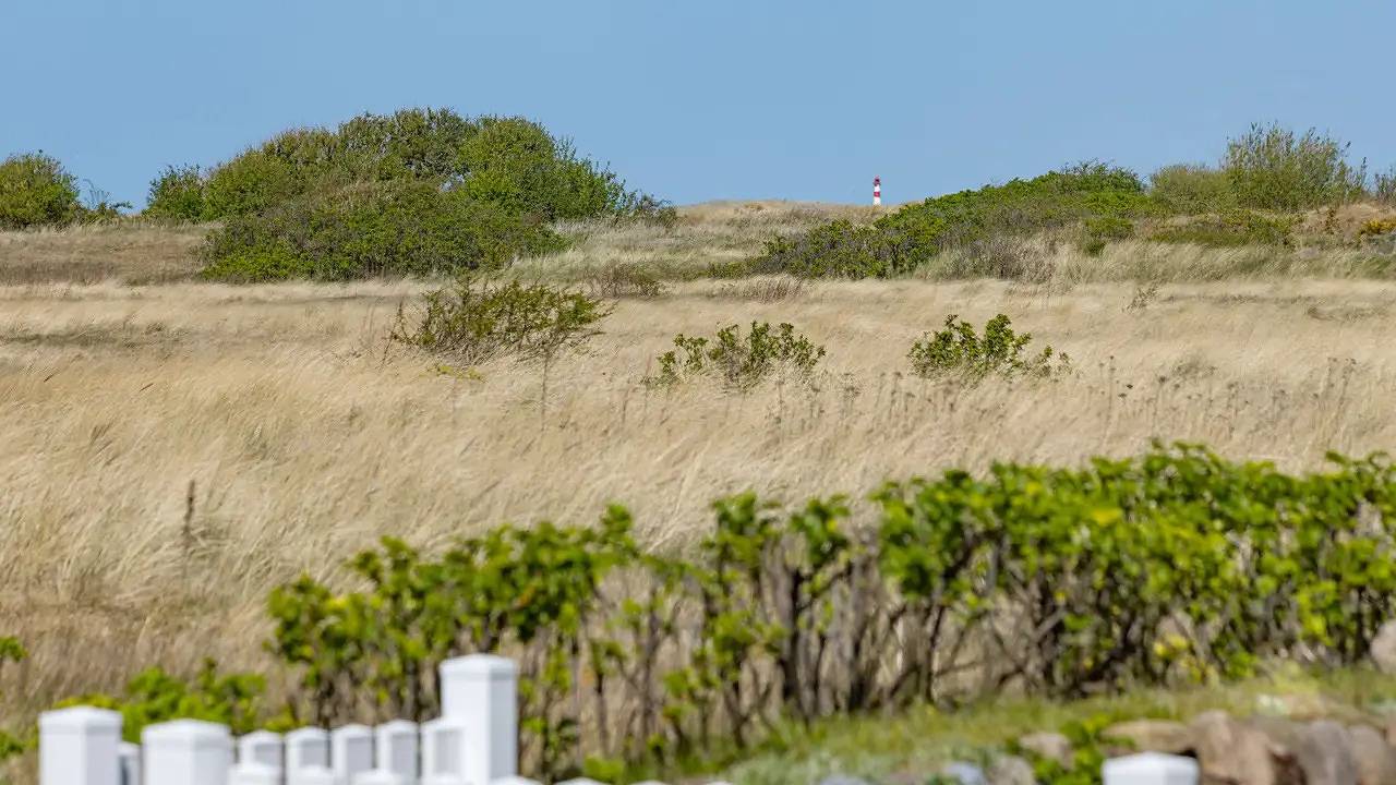 Ferienhaus für 8 Personen (80 m²) in List auf Sylt in List (Sylt), Sylt