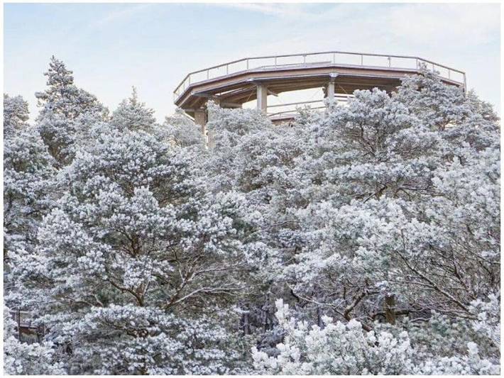 Location de vacances pour 8 personnes, avec jardin à Cleebourg - 4