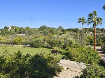 Finca in Búger, Mallorca Inselmitte für 12 
