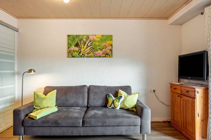 Gîte pour 4 personnes, avec jardin à Titisee-Neustadt - 4