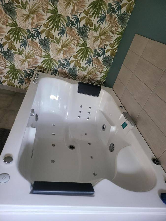 Gîte pour 4 personnes, avec terrasse ainsi que jacuzzi et jardin à Liévin - 3