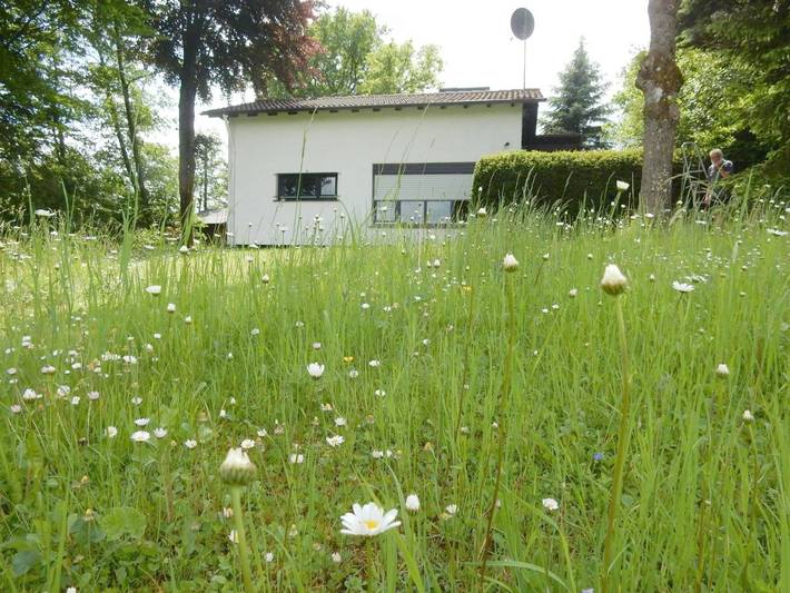 Ferienhaus für 6 Personen, mit Ausblick und Garten, mit Haustier in Lissendorf