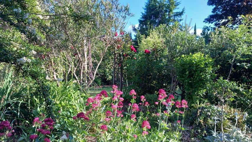 Gîte pour 2 personnes, avec piscine ainsi que vue et terrasse, animaux acceptés à Le Vigan - 4