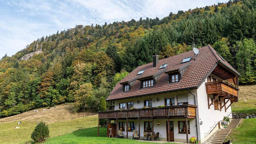 Ferienwohnung für 4 Personen, mit Balkon/Terrasse, mit Haustier - 1