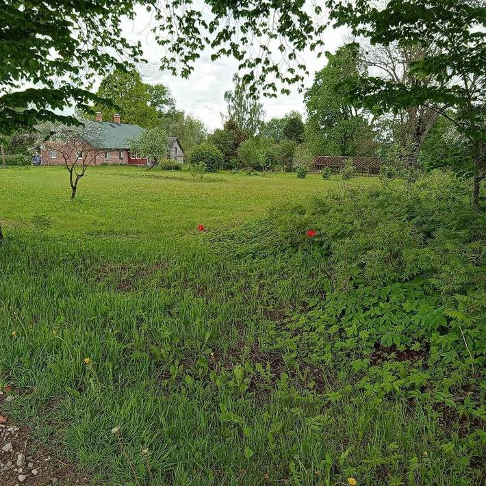 Apartament wakacyjny dla 2 osób, z taras i ogród, zwierzęta dozwolone - 1