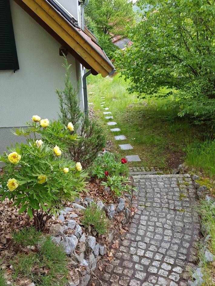 Ferienwohnung für 2 Personen, mit Garten und Ausblick in Altenbrak - 2