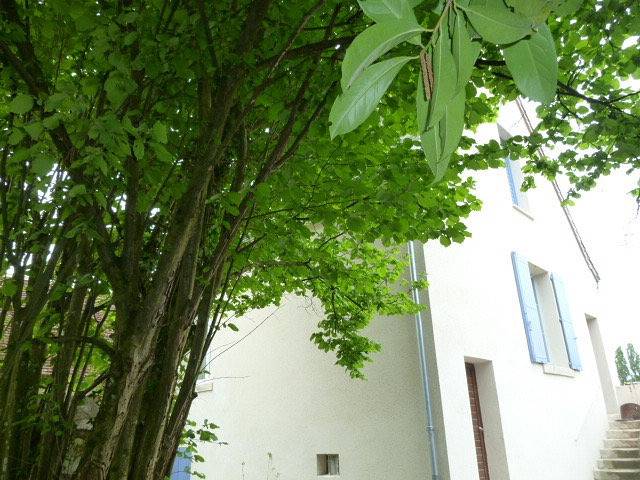 Gîte pour 5 personnes, avec jardin et terrasse - 1