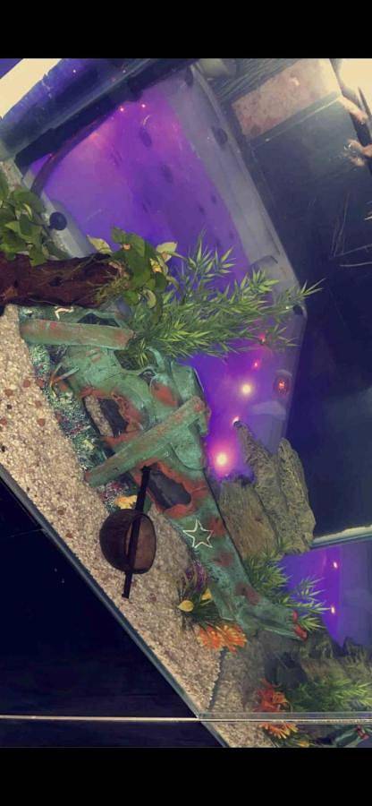 Chambre d’hôte pour 2 personnes, avec jacuzzi dans le Gard - 4