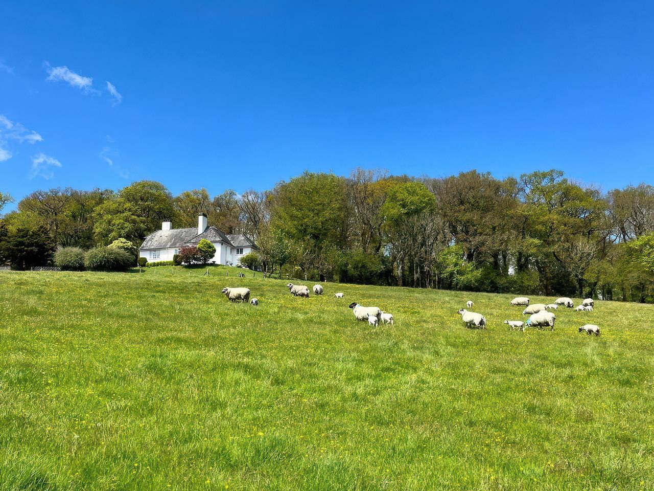 The White House in Devon