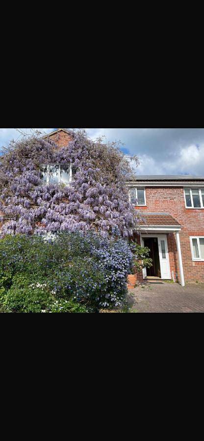 B&b for 2 people, with garden and view as well as terrace in Glastonbury