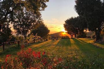 Casa rural para 4 personas, con jardín en Parque natural del Montseny