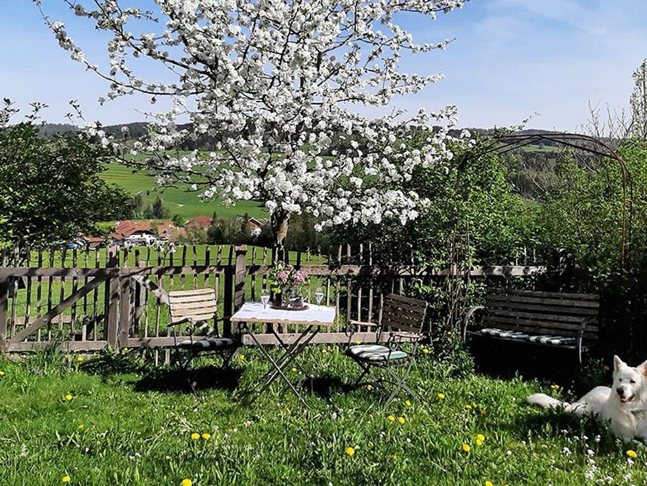 Ganze Ferienwohnung, Ferienappartement Häuslmüllner - Ferienwohnung Häuslmüllner in Salzkammergut-Berge, Oberwang