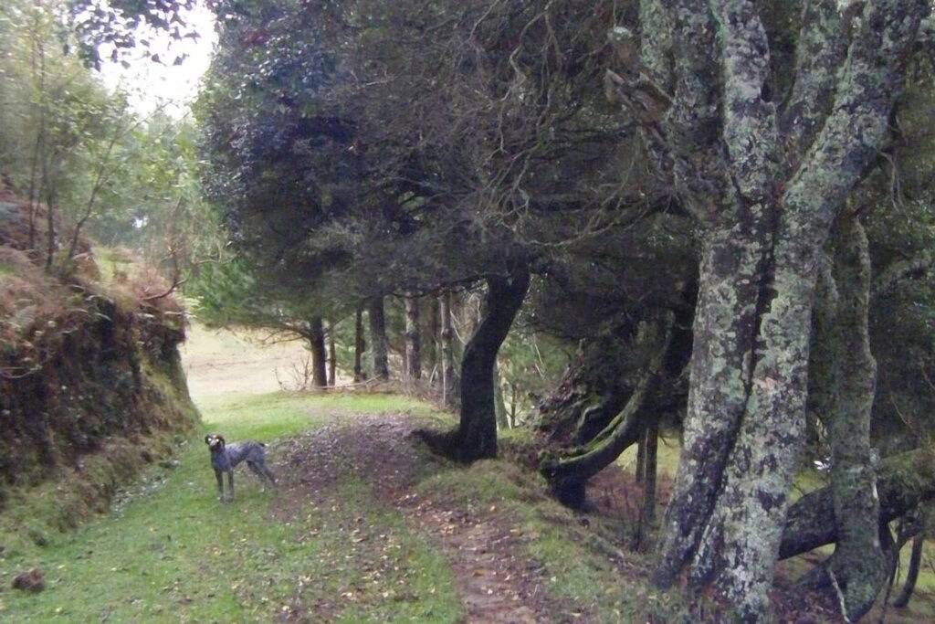 Gemütliches Ferienhaus mit modernen Einrichtungen auf einem 10 Hektar großen Bauernhof in Ruapehu District