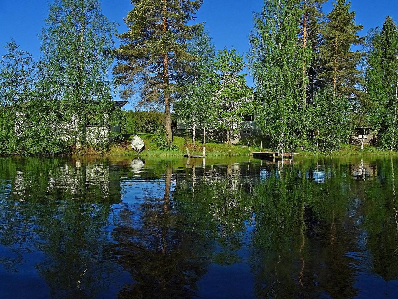 Tarvas in Parikkala, Südkarelien