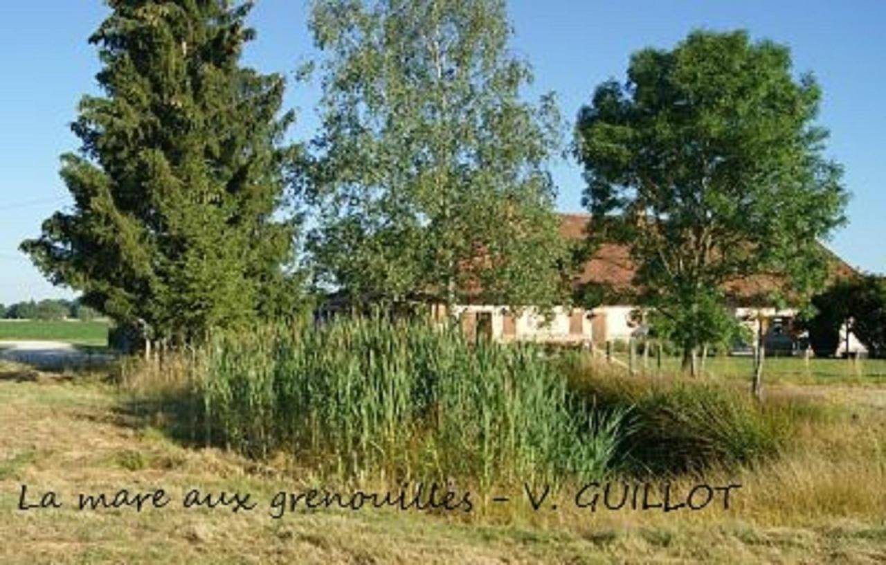 Double Room with Garden View in Bruailles, Région de Louhans