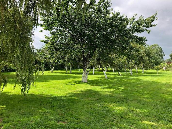 Location de vacances pour 4 personnes, avec jardin et terrasse, animaux acceptés à Saint-Martin-de-Varreville - 2