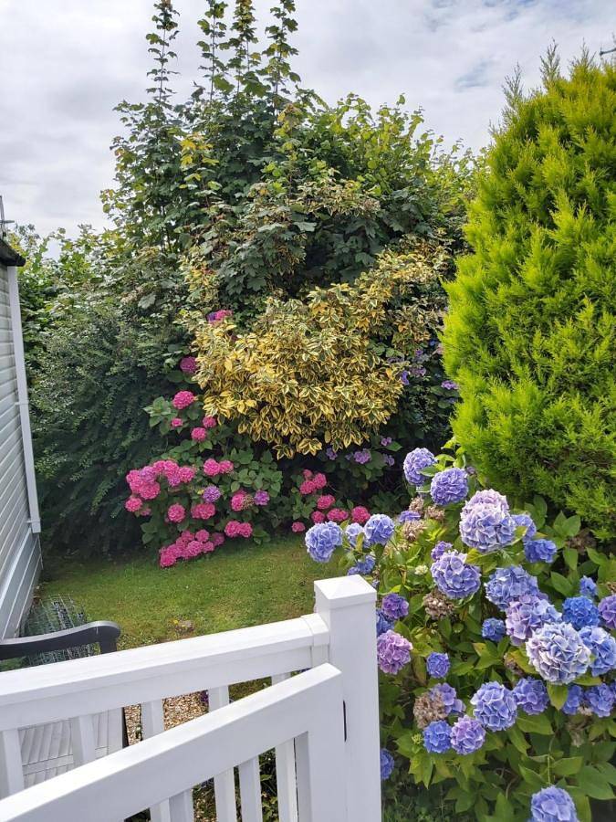 Mobile Home in Charmouth, Dorset