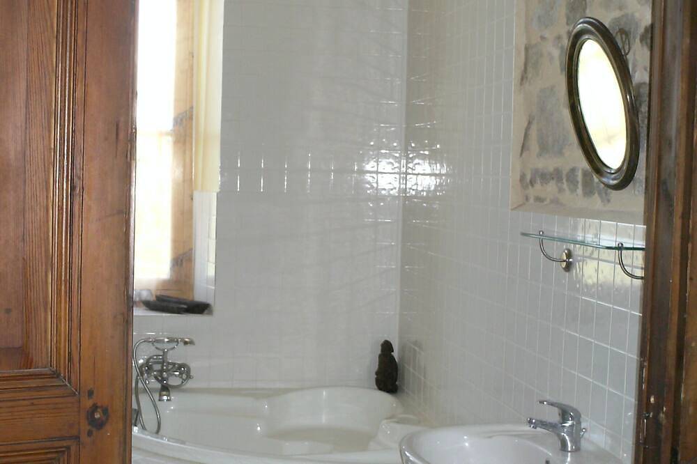 Partoucie Schloss mit privatem Pool in Lessac, Charente
