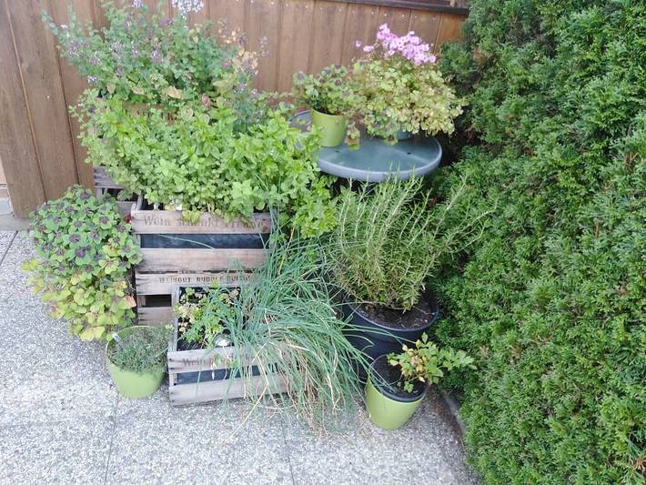 Ferienwohnung für 5 Personen, mit Balkon und Balkon/Terrasse sowie Terrasse und Garten