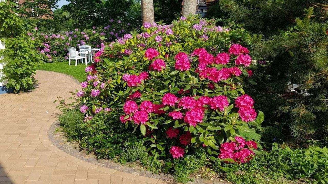 Ferienhaus für 3 Personen (40 m²) in St. Peter-Ording in St. Peter-Bad, St. Peter-Ording