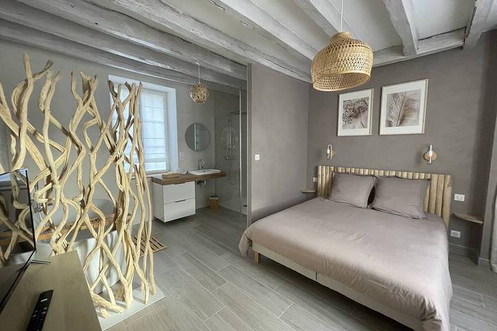 Gîte \"La Patouille\" in Amboise, Région de Tours
