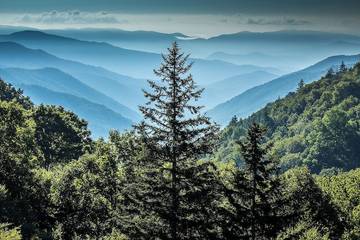 Log Cabin for 10 Guests in Sevierville, Sevier County, Picture 1