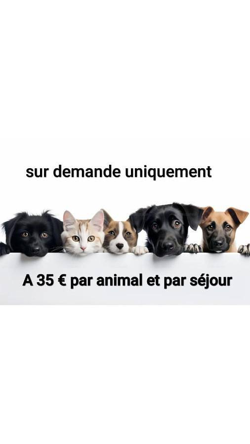 Gîte pour 4 personnes à Champagnole - 2