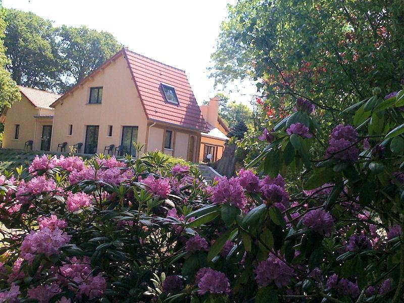 La Villa Antalya - Chambre Les Oiseaux in Bois de Cise, Ault