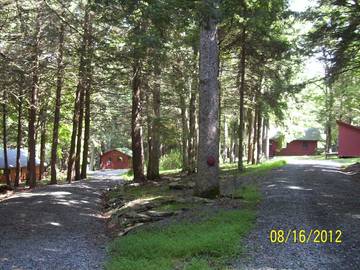Lodge for 8 Guests in Pike County, Picture 3