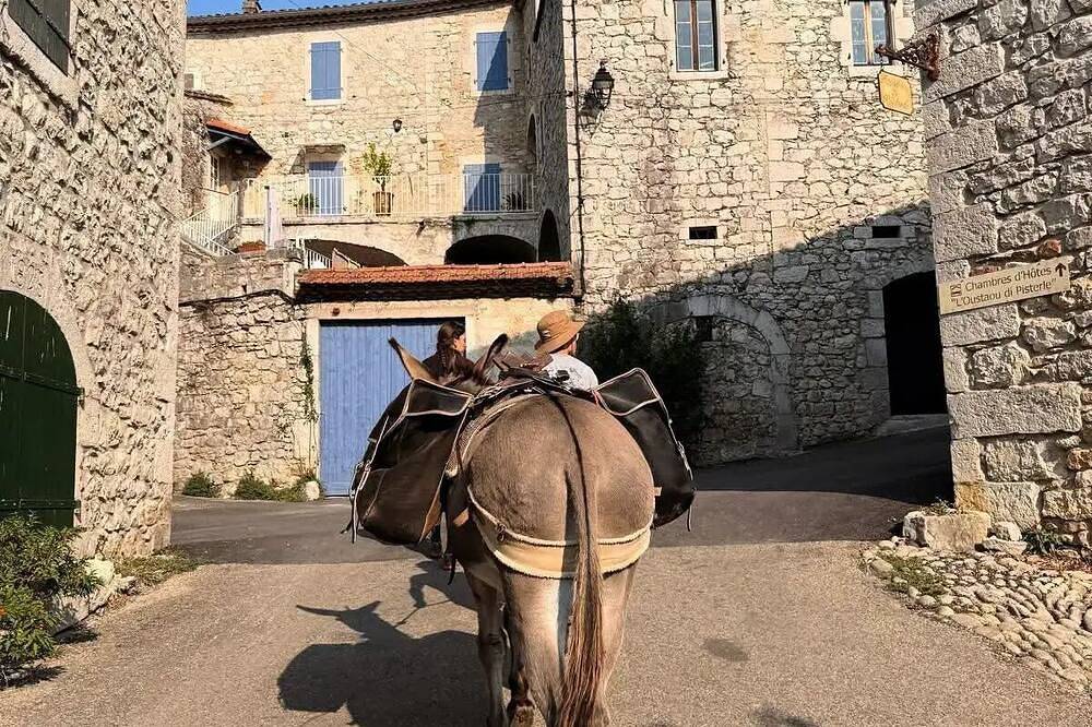Chalet Zénitude - 21m² - 2 chambres - sans sanitaires 5 personnes in Chauzon, Ardèche