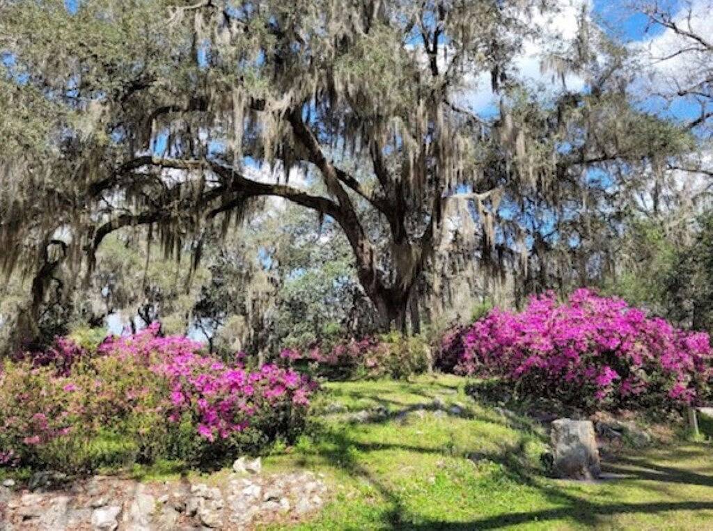 Beach Vibes *King & Queens Beds Free Wifi in Palatka, Putnam County (FL)