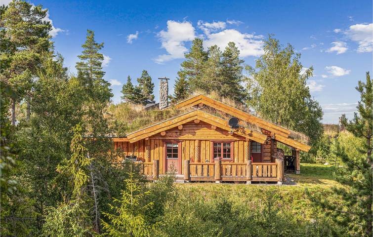 Ferienhaus für 12 Personen, mit Garten und Sauna sowie Terrasse in Ost-Norwegen - 2