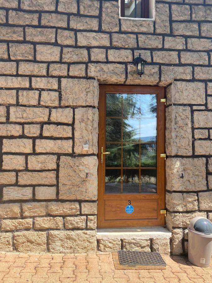 Location de vacances pour 3 personnes, animaux acceptés à Firminy - 4