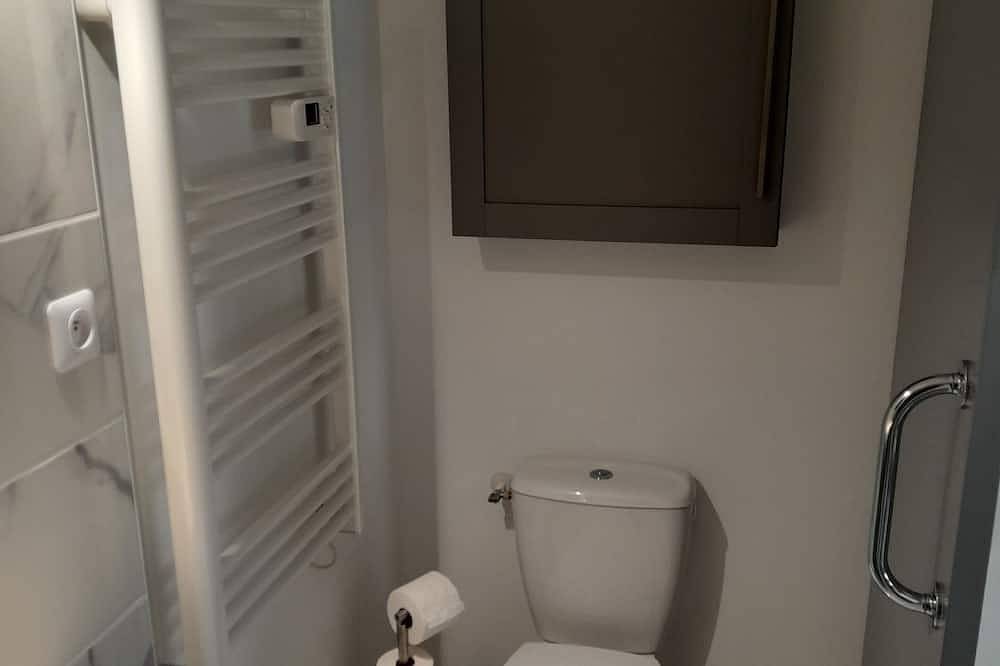 Ganze Wohnung, Pleasant studio center town in Clermont-Ferrand, Regionaler Naturpark Volcans d'Auvergne