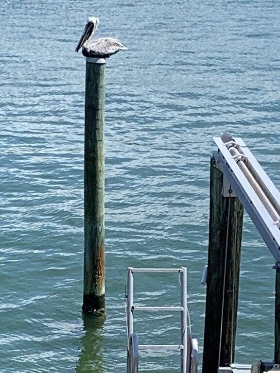 Vacation rental for 4 people, with yard and balcony in Treasure Island