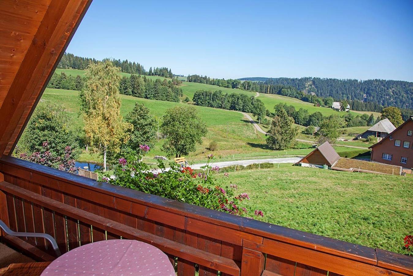 Ganze Wohnung, Ferienwohnung 'Morgensonne' mit Bergblick, gemeinsamer Terrasse und Wlan in Hinterzarten, Südschwarzwald