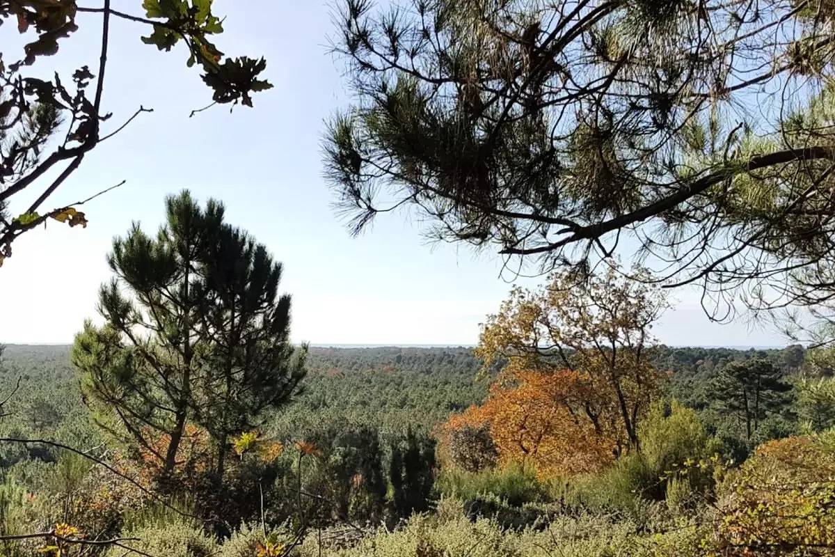Ferienwohnungen für 2 Personen in Naujac-sur-Mer, Lesparre-Médoc und Umgebung