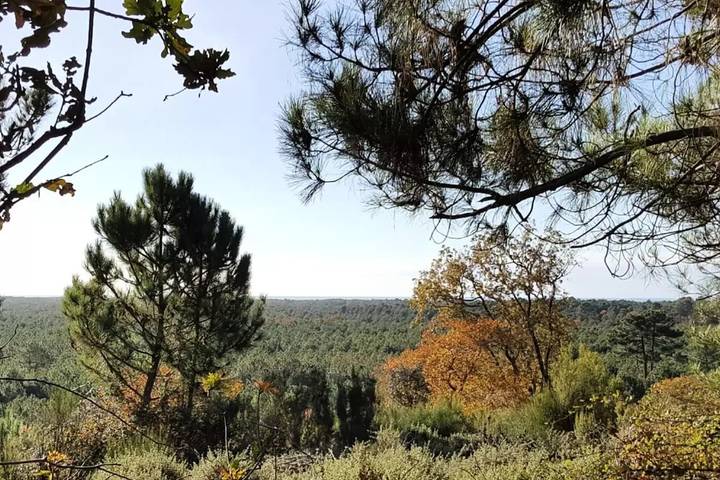 Gîte für 2 Personen, mit Garten und Pool - 1