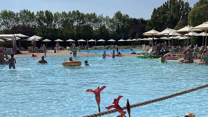 Bungalow per 4 persone, con piscina per bambini e terrazza nonché giardino e piscina, con animali domestici a Peschiera del Garda