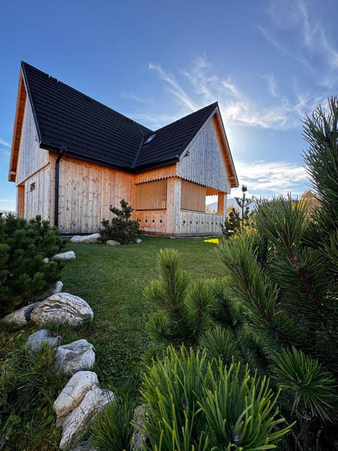 Willa dla 10 osób, z ogród i sauna oraz widok, zwierzęta dozwolone w Zakopane