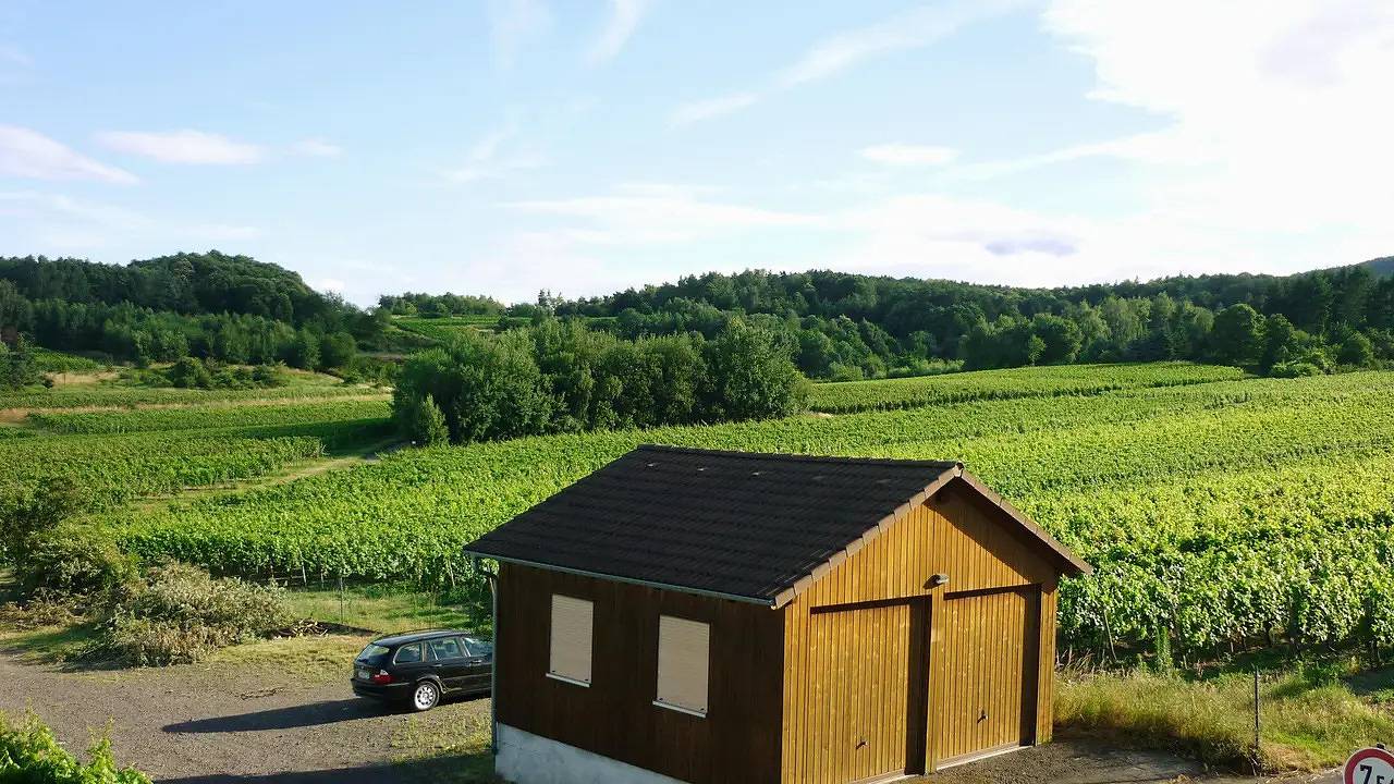 Entire holiday apartment, Ferienwohnung für 6 Personen (75 m²) in Bad Dürkheim in Bad Dürkheim, Pfälzer Rheinebene