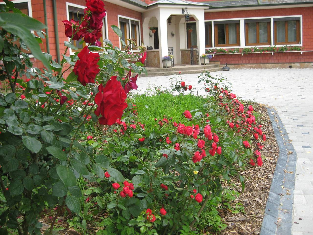 Geräumiges Haus in Sermersheim mit eingezäuntem Garten in Sermersheim, Region Sélestat-Erstein
