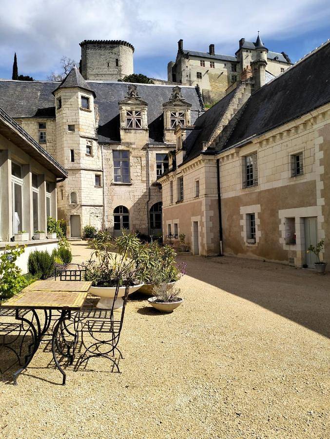 Appartement entier, Le logis Bodard Appartement centre ville dans un hôtel particulier Xiveme avec parking et locale vélo in Chinon, Vallée de la Loire