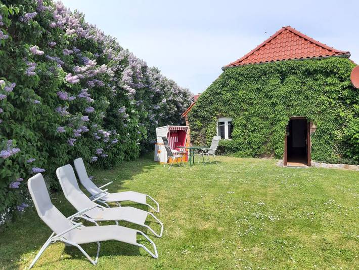 Bauernhof für 4 Personen, mit Garten, kinderfreundlich in Mecklenburg-Vorpommern - 3