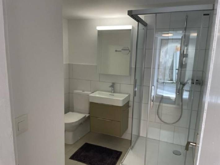 Gîte pour 3 personnes, avec jardin, animaux acceptés dans Lenzerheide - 3