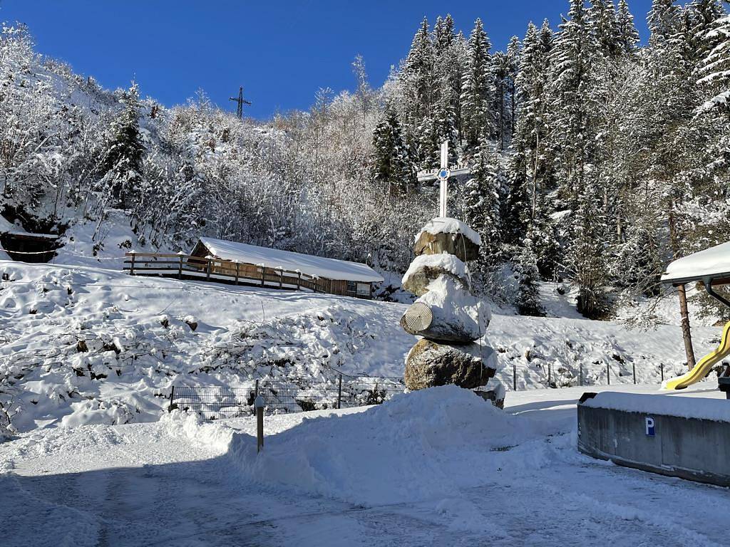 Ganze Ferienwohnung, Luxusapartment Müllerhaus in Mühlbach am Hochkönig, Ski Amadé