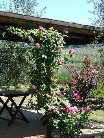 Agriturismo per 2 Persone in Barberino Tavarnelle, Chianti, Foto 1
